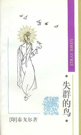 失群的鸟
