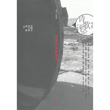 中国诗歌评论--诗歌的重新命名