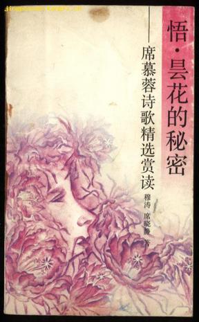 悟 · 昙花的秘密