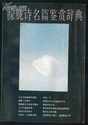 朦胧诗名篇鉴赏辞典