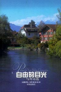 自由的目光