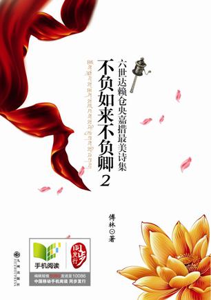 不负如来不负卿2