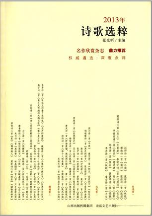 2013年诗歌选粹