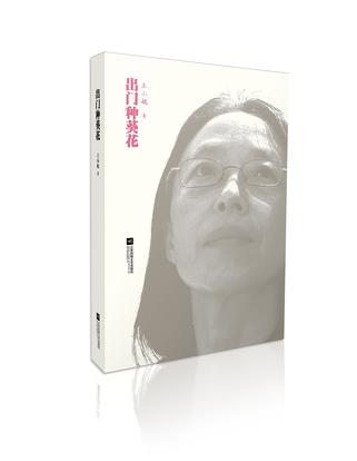 出门种葵花