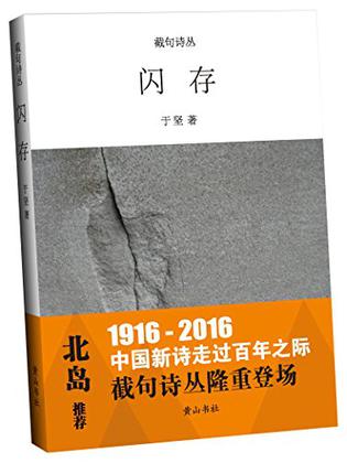 截句诗丛  闪存