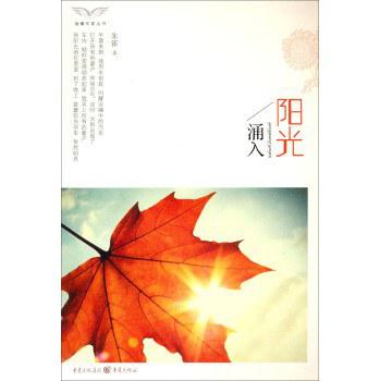 阳光涌入