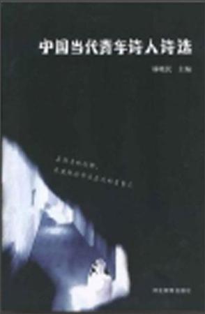 中国当代青年诗人诗选