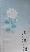 白玫瑰