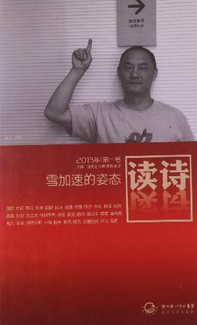读诗·雪加速的姿态