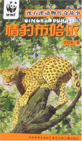 情豹布哈依