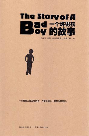 一个坏男孩的故事