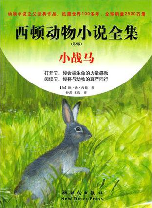 小战马