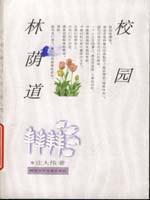 校园林荫道