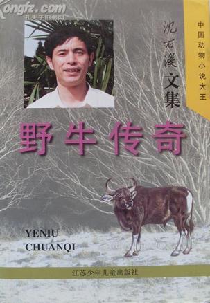 野牛传奇