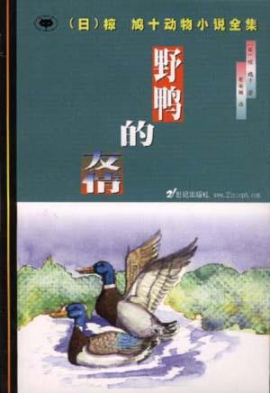 野鸭的友情