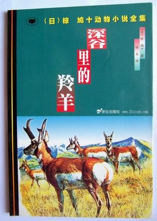 深谷里的羚羊