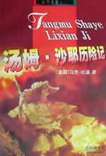 汤姆沙耶历险记