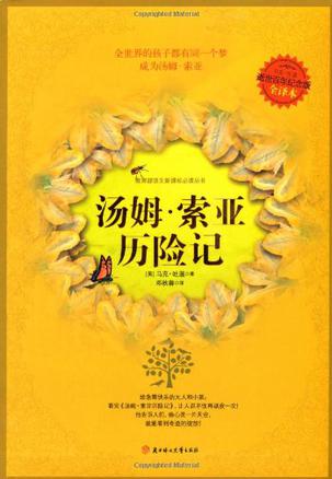 汤姆·索亚历险记