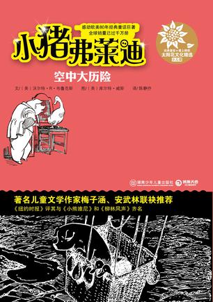 空中大历险