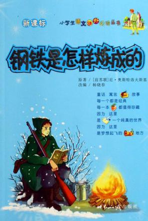 钢铁是怎样炼成的