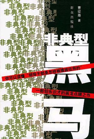 非典型黑马