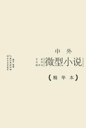 中外微型小说精华本