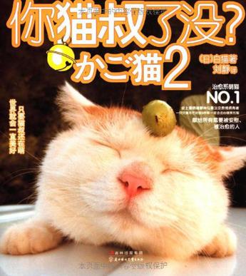你猫叔了没？2