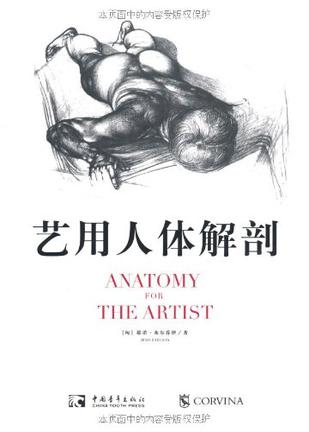 艺用人体解剖