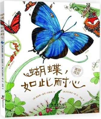 蝴蝶，如此耐心