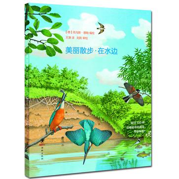 美丽散步.在水边