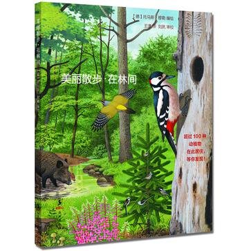 美丽散步.在林间