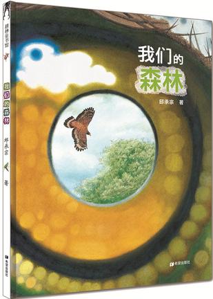我们的森林