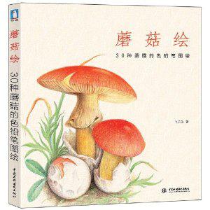 蘑菇绘