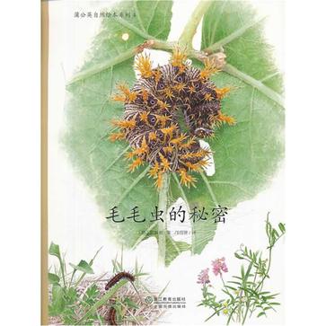 蒲公英自然绘本系列4 毛毛虫的秘密