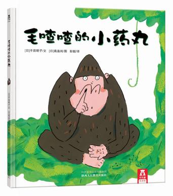 毛喳喳的小药丸
