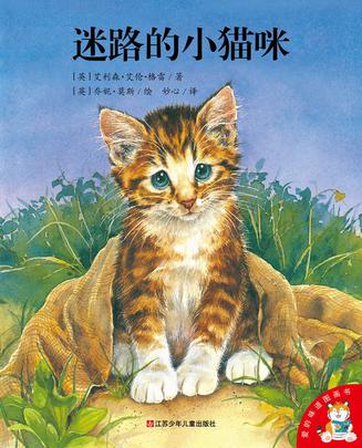 迷路的小猫咪