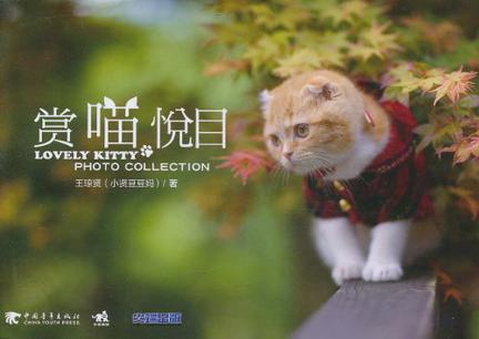赏喵悦目