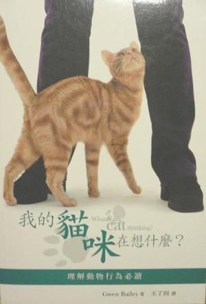 我的猫在想什么?