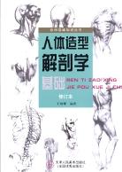 人体造型解剖学基础