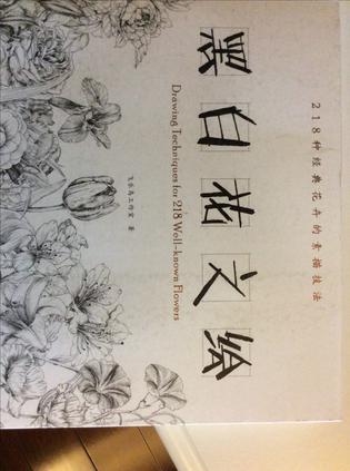 黑白花之绘