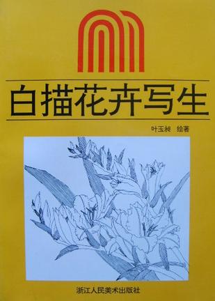白描花卉写生