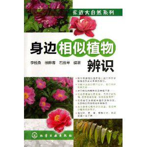 身边相似植物辨识