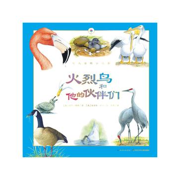 火烈鸟和他的伙伴们