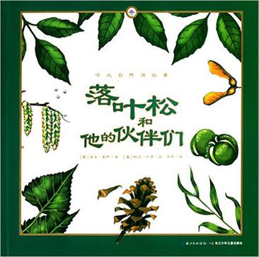 落叶松和他的伙伴们