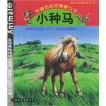 我的动物朋友系列。奶牛