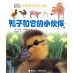 鸭子和它的小伙伴