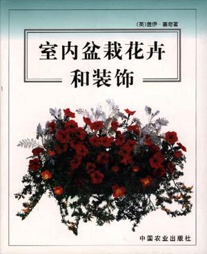 室内盆栽花卉和装饰