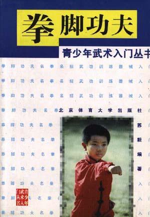 青少年武术入门丛书