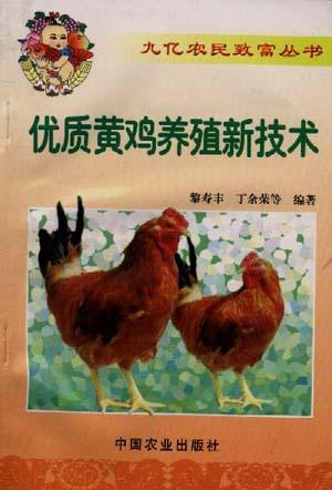 优质黄鸡养殖新技术