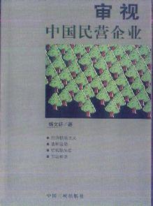 审视中国民营企业